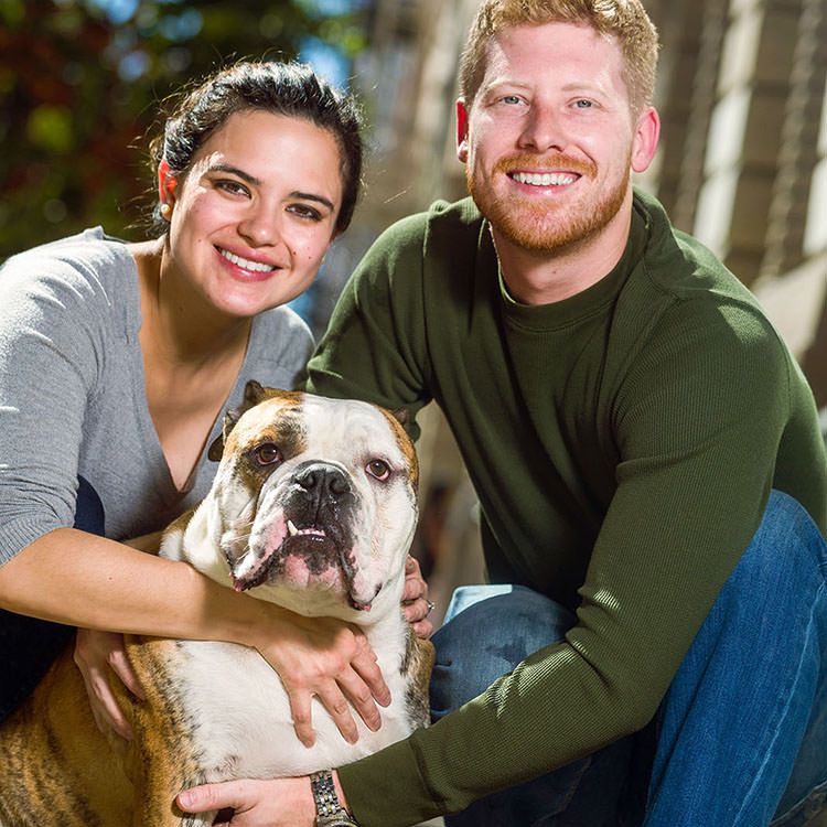 Dog Portraits Hero Image