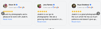 Google Reviews Preview