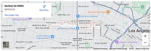 Google Map Preview